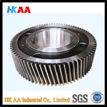 China Dongguan Best Sale High Speed Steel/Plastic/Nylon Helical Master Gear